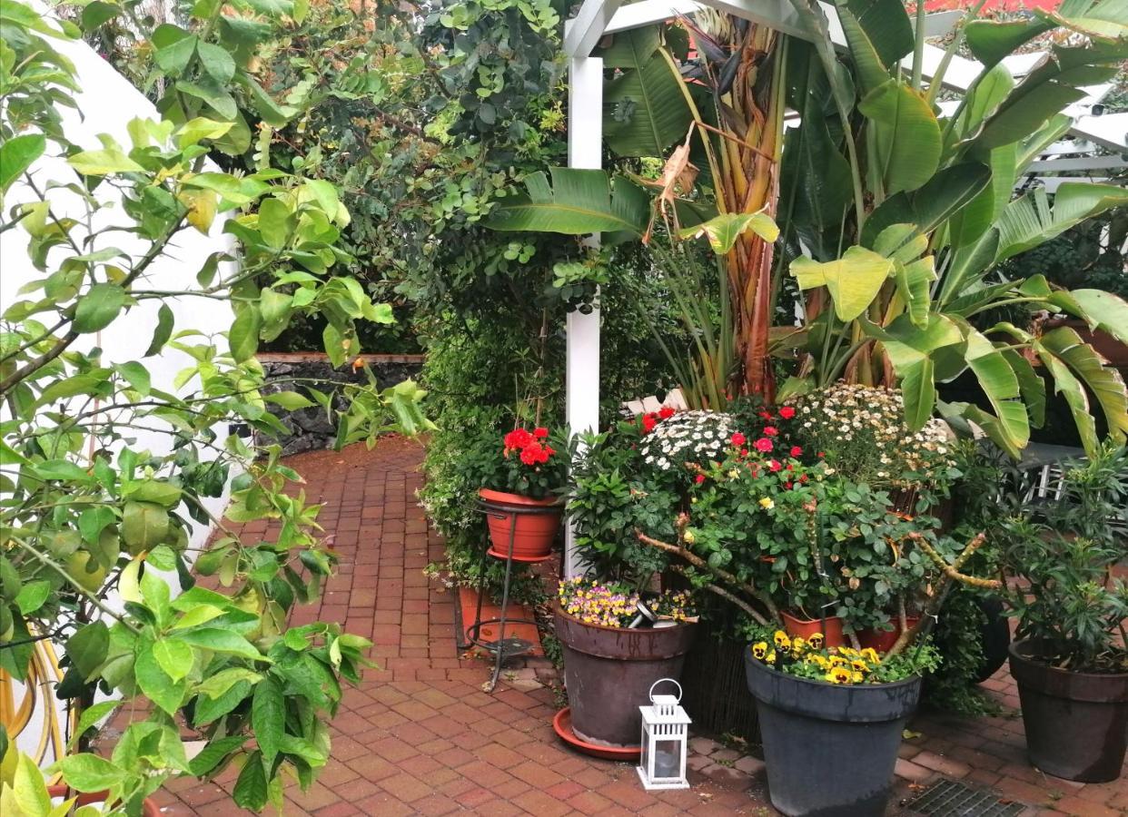 La Foresteria Garden Boutique B&B CTA Exterior foto