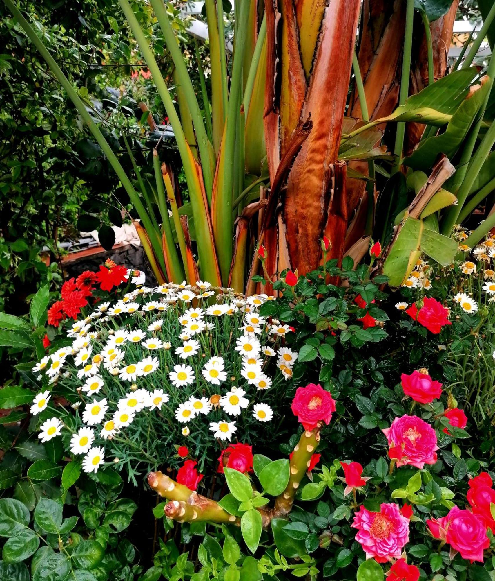 La Foresteria Garden Boutique B&B CTA Exterior foto