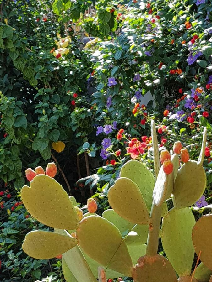 La Foresteria Garden Boutique B&B CTA Exterior foto